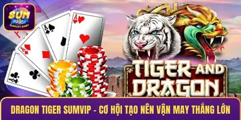 Dragon Tiger SUMVIP – Cơ Hội Tạo Nên Vận May Thắng Lớn