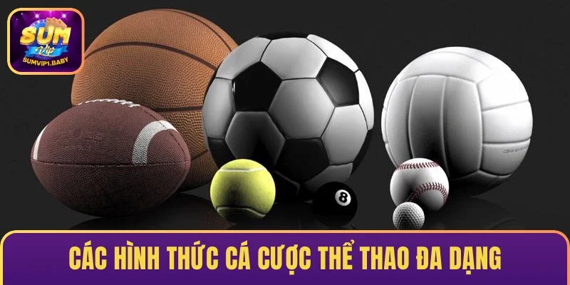 Các hình thức cá cược Thể thao đa dạng